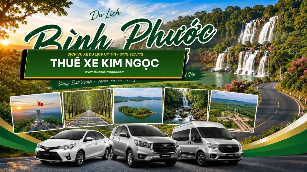 Thuê Xe Đi Bình Phước Giá Rẻ – Xe 4-7-16-29-45 Đời Mới, Giá Trọn Gói, Phục Vụ Tận Tâm